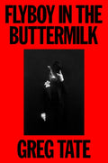 Flyboy in the Buttermilk: Essays on Contemporary America