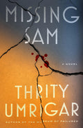Missing Sam (/ Large Type)